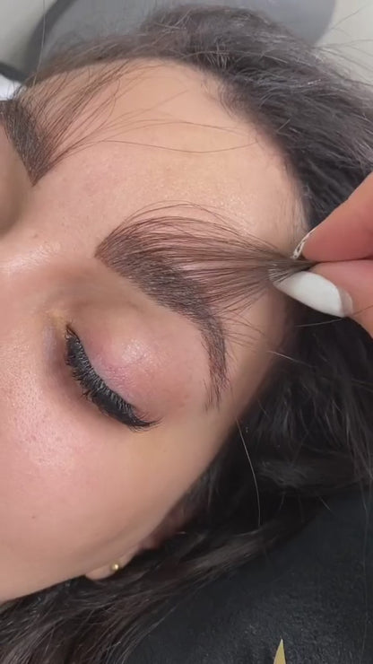 Brow Extensions and Mapping training